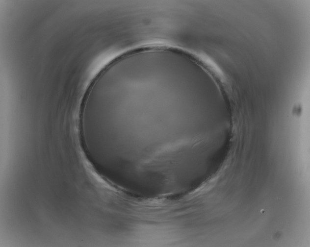 X0000097001279200802081436