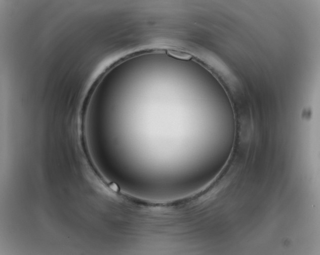 X0000097001280200802081436
