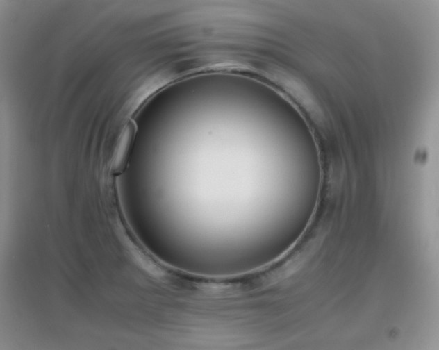 X0000097001281200802081436