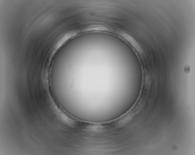 X0000097001282200802081436