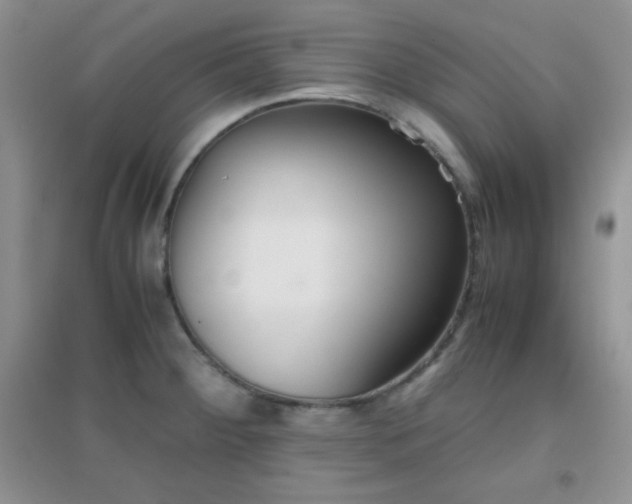X0000097001284200802081436