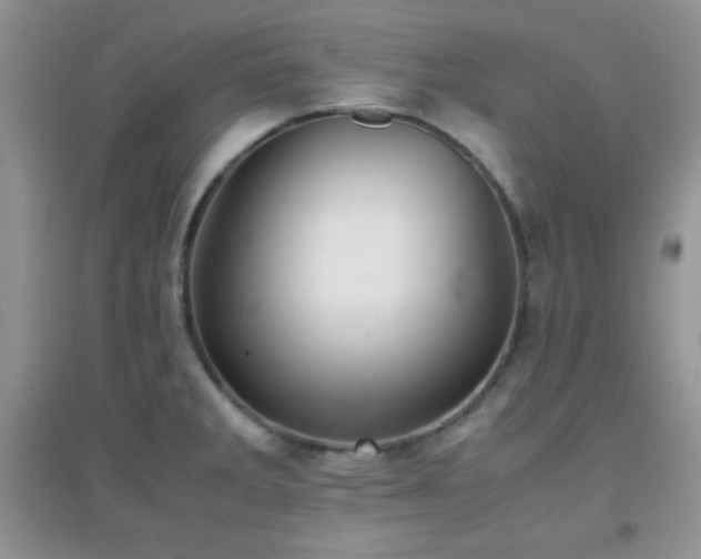 X0000097001285200802081436