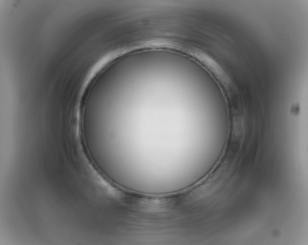 X0000097001286200802081436