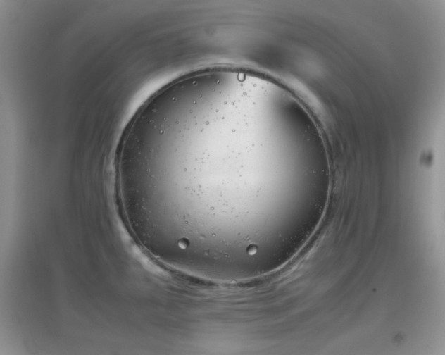 X0000097001287200802081436