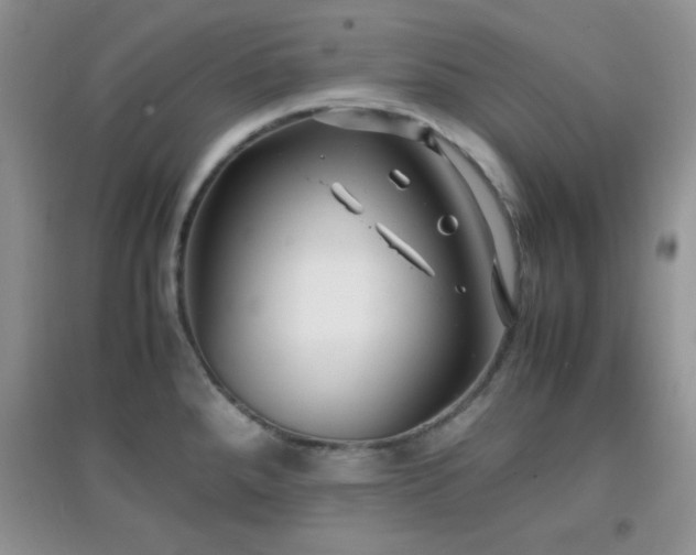 X0000097001288200802081436
