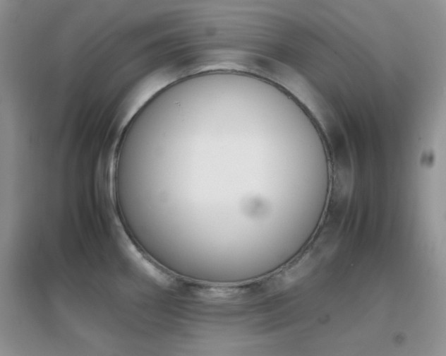 X0000097001290200802081436