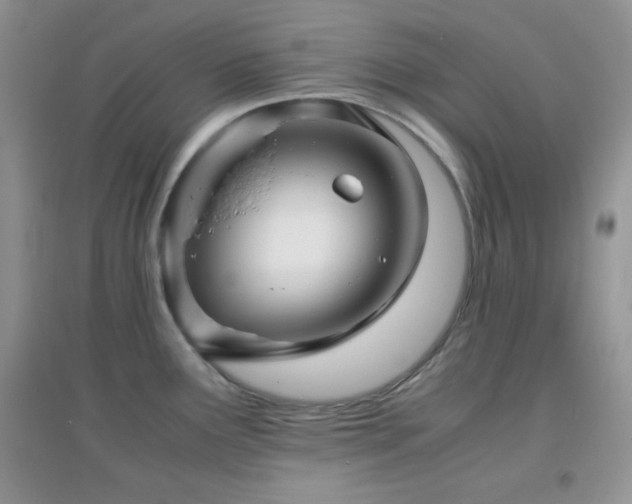 X0000097001291200802081436