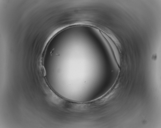 X0000097001292200802081436