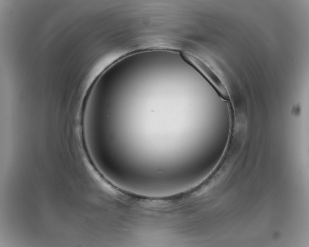 X0000097001293200802081435