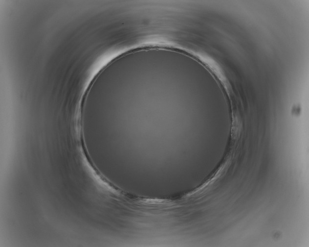 X0000097001295200802081435