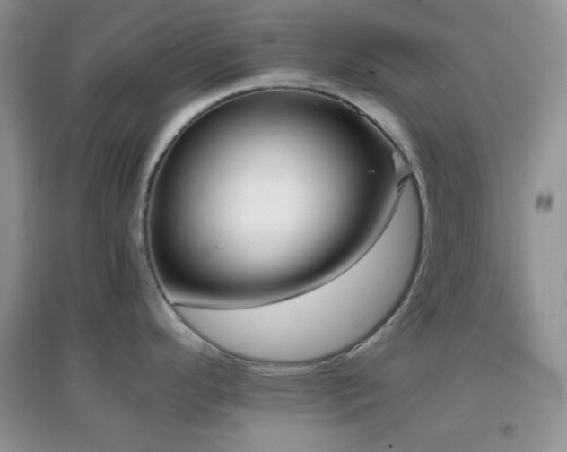 X0000097001296200802081435