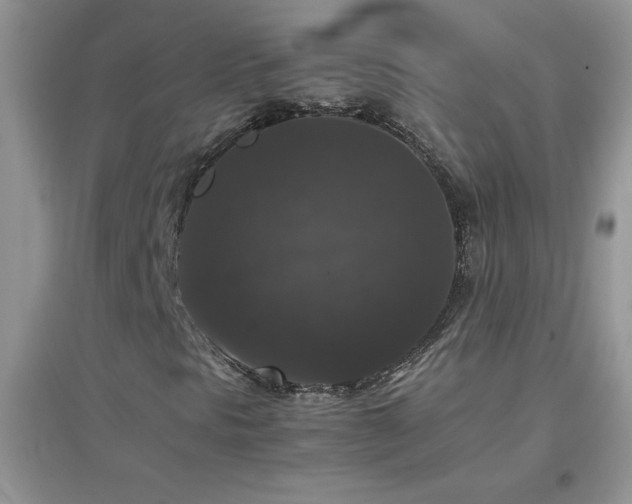 X0000097001297200802081435