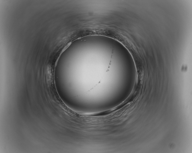 X0000097001298200802081435