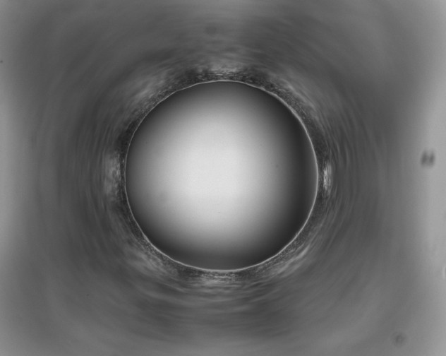 X0000097001299200802081435