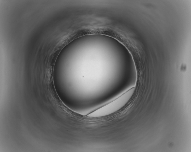 X0000097001300200802081435