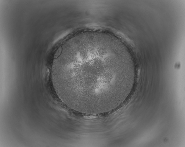 X0000097001302200802081435