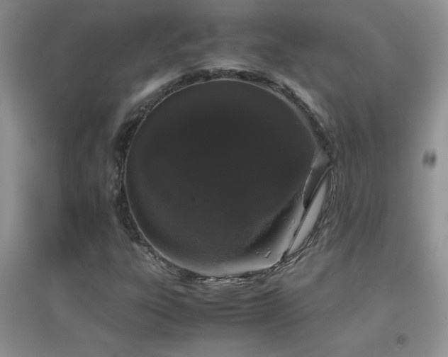X0000097001303200802081435