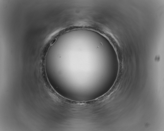 X0000097001304200802081435