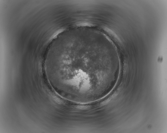 X0000097001305200802081435