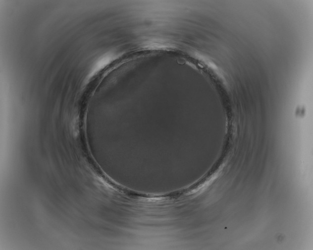 X0000097001306200802081435