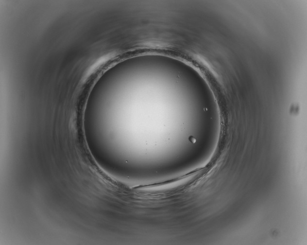X0000097001307200802081435