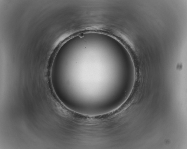 X0000097001308200802081435