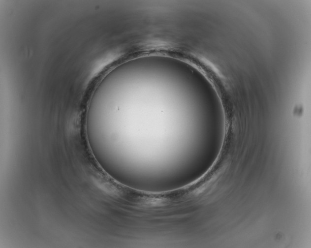 X0000097001309200802081435