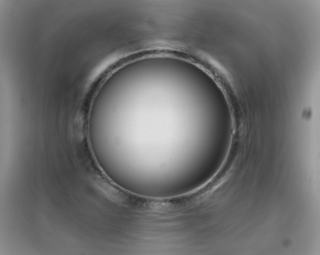 X0000097001310200802081435