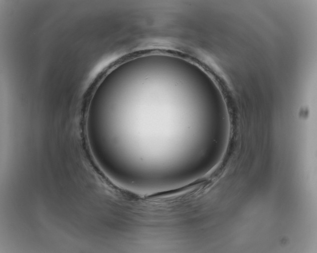 X0000097001312200802081435