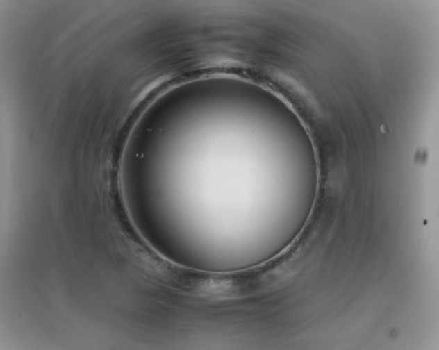 X0000097001313200802081435