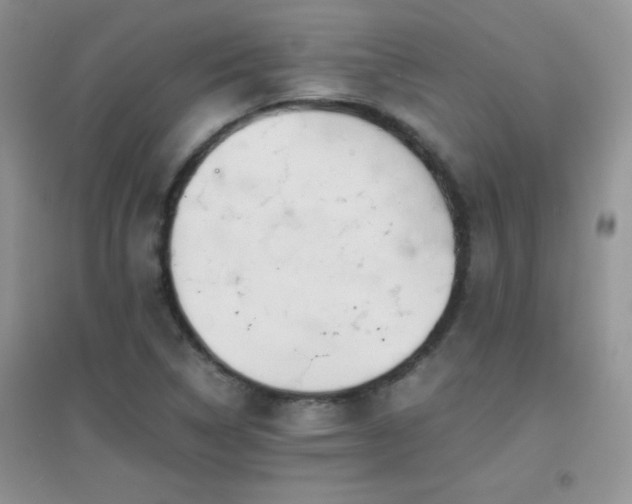 X0000097001314200802081435