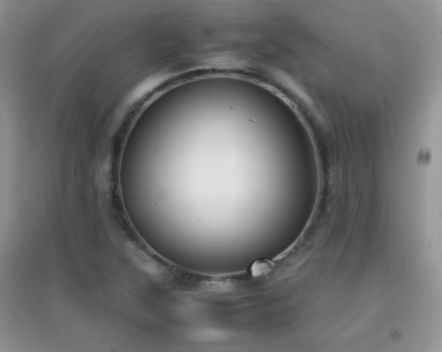 X0000097001315200802081435