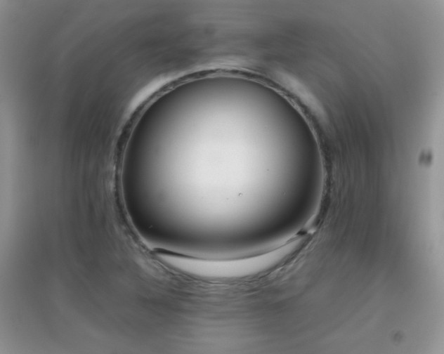 X0000097001316200802081435