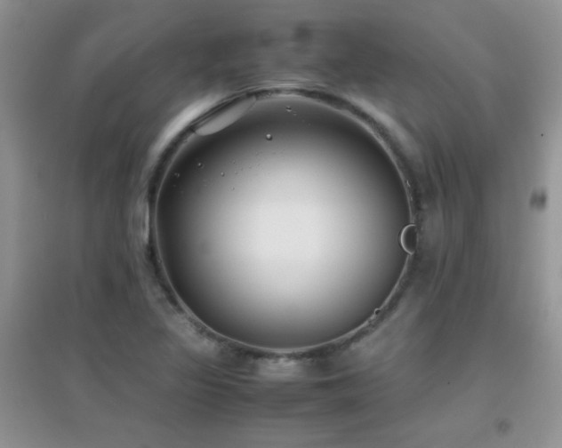 X0000097001317200802081435