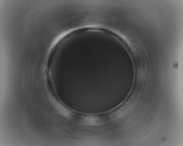 X0000097001319200802081435