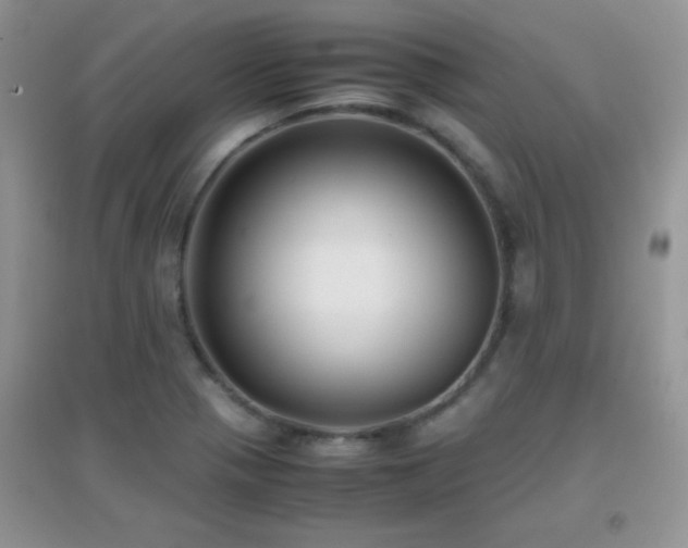 X0000097001321200802081435