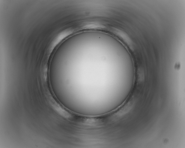 X0000097001322200802081435
