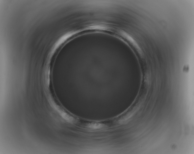 X0000097001323200802081435