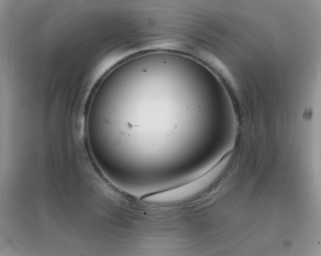 X0000097001324200802081435
