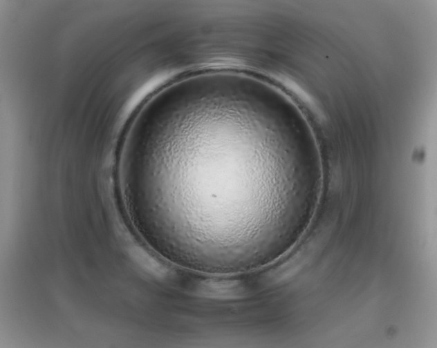 X0000097001325200802081435