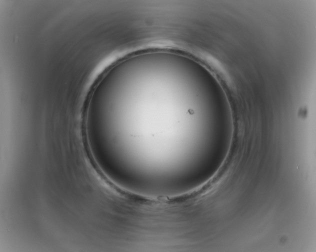 X0000097001326200802081435
