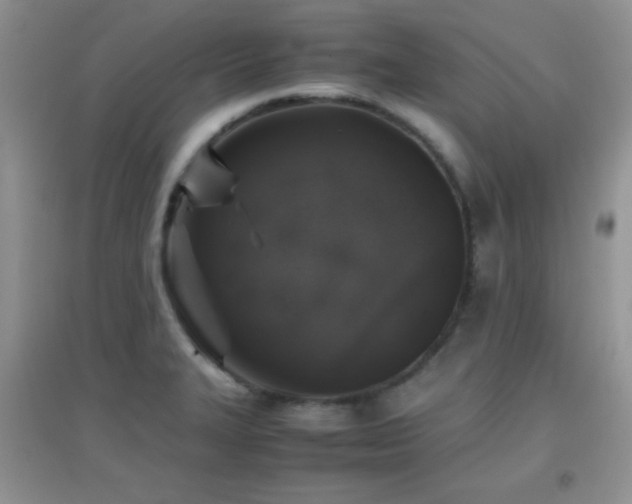 X0000097001327200802081435