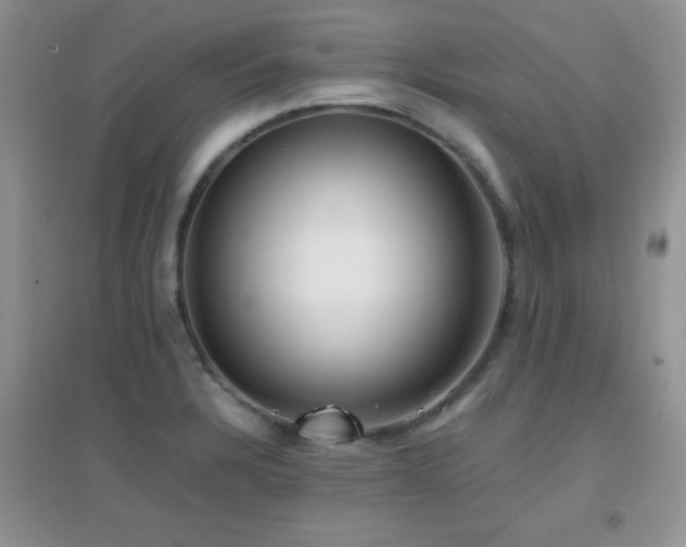 X0000097001328200802081435