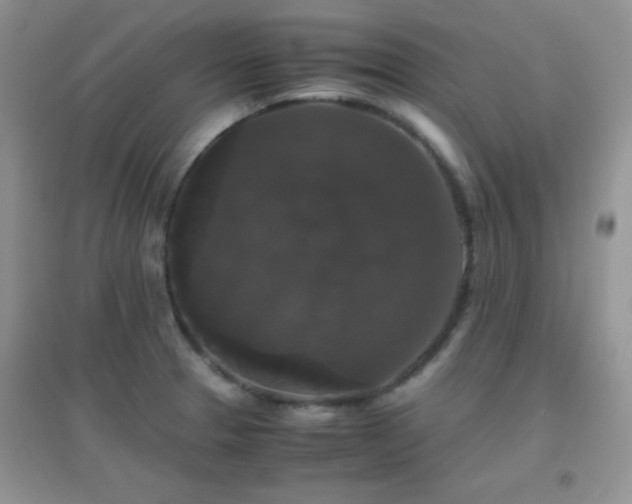 X0000097001329200802081435