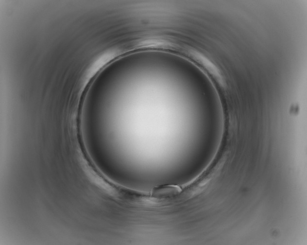 X0000097001330200802081435