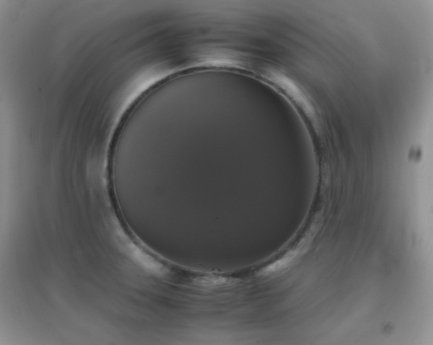X0000097001331200802081435
