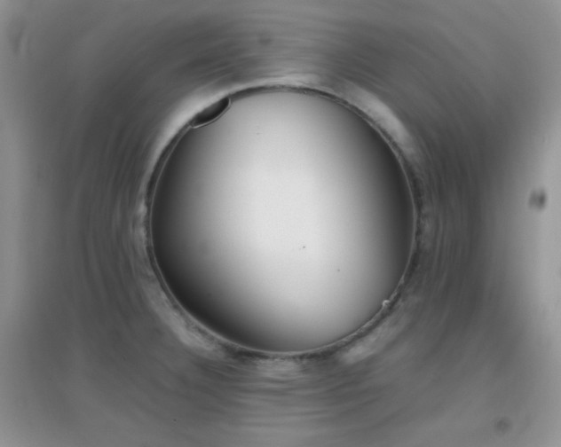 X0000097001332200802081435