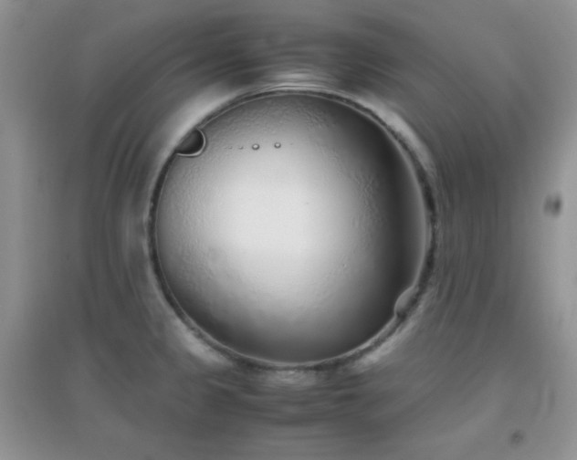 X0000097001333200802081435