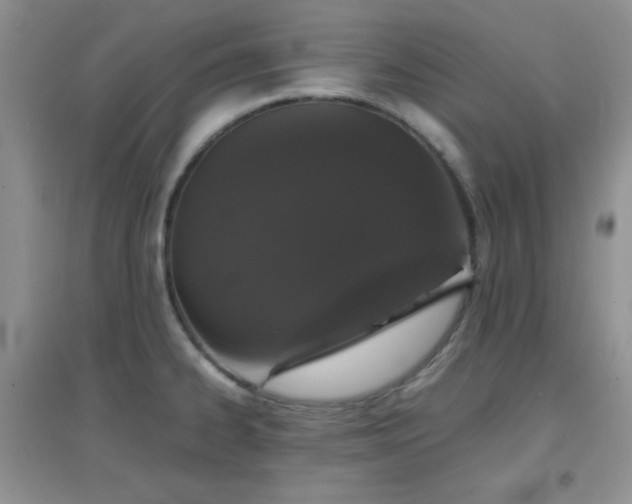 X0000097001334200802081435