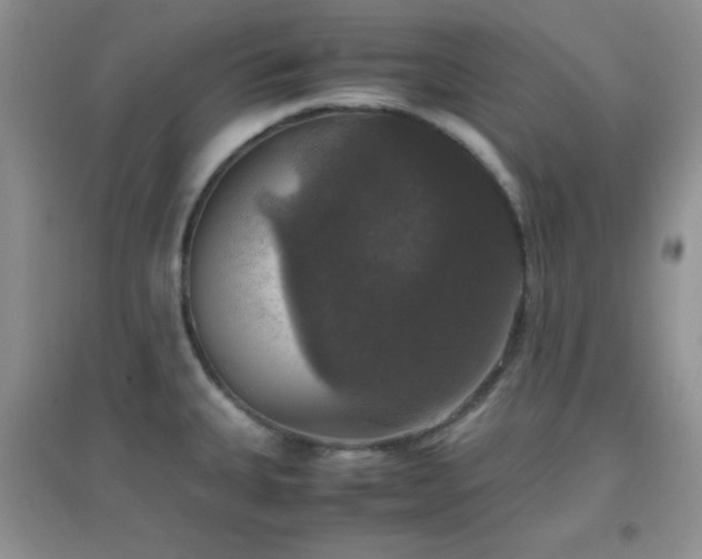 X0000097001335200802081435